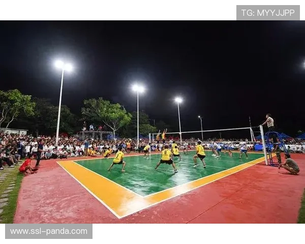 海南排球运动融入日常生活 村村有球场成常态