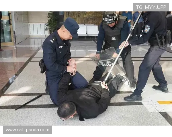 体育内容漏洞检测系统上线，安全防护能力强化