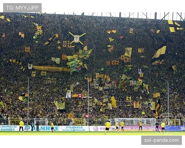 多特蒙德南看台需安装连续金属防冲栏，单场改造费用达五位数